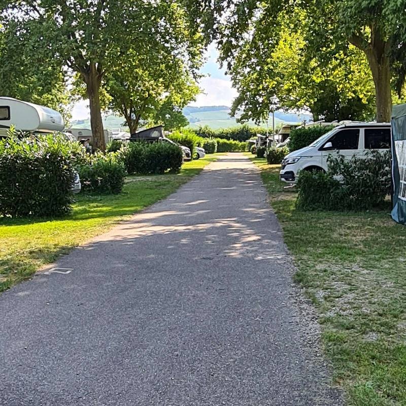 Camping Municipal — Camping Site in Riquewihr / Grand Est