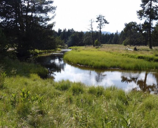 Camping Le Petite Canada ***