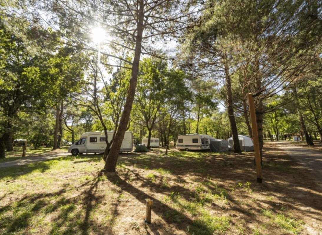 Camping Les Couleurs de la Coubre **** — Camping in Les Mathes