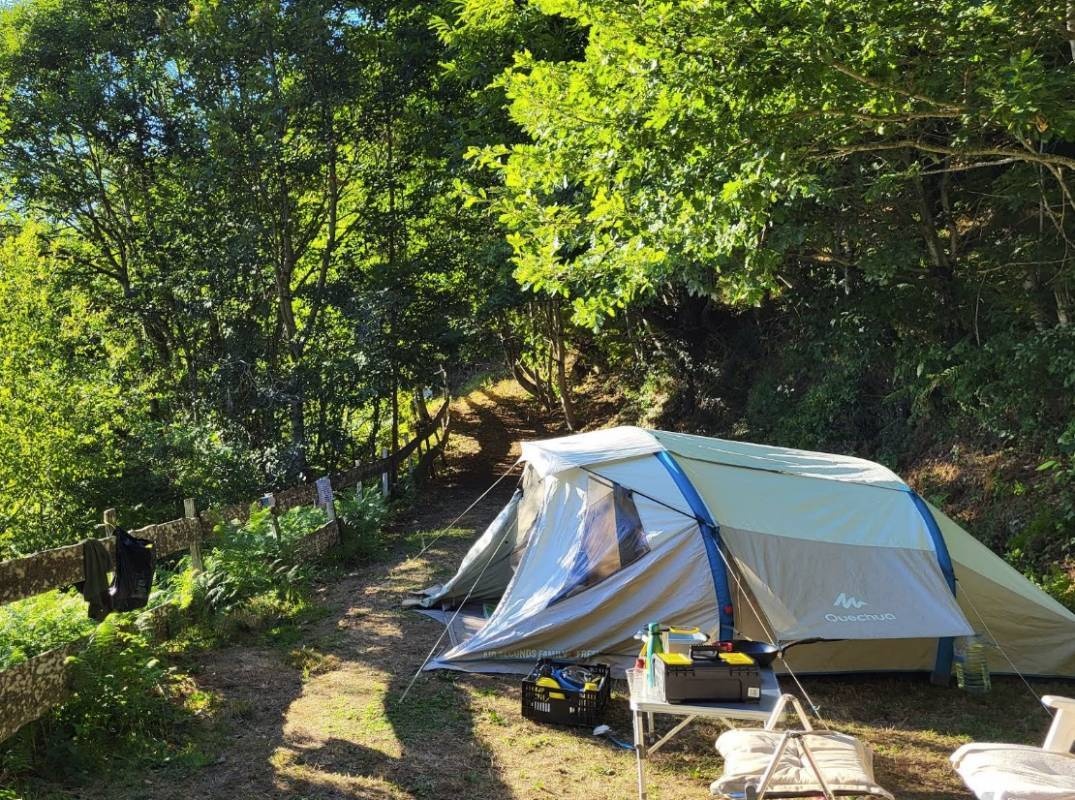Camping Domaine La Canal ** — Campingplass in Nages