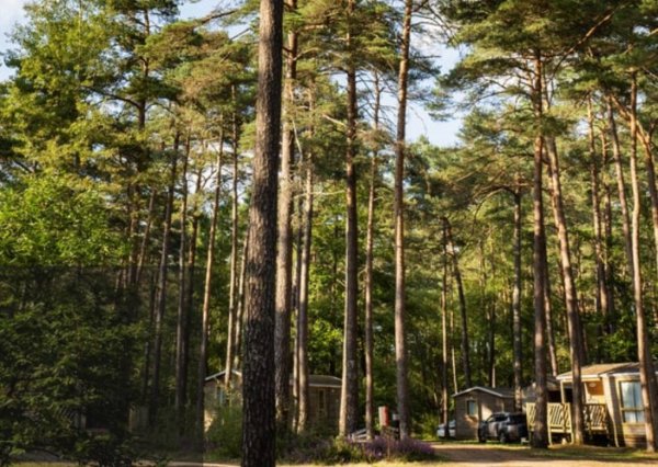 Camping Municipal — Photo 2