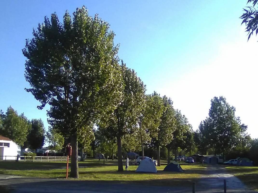 Camping La Maison Blanche ** — Kemp in Le Perrier