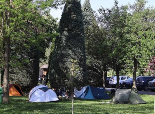 Camping La Vieille Ferme **** — Photo 3