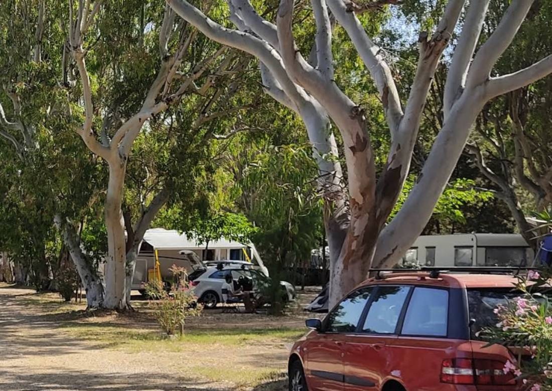 Camping Bernard — Kamp yeri in Hyères