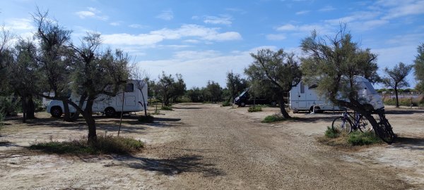 Camping Bon Séjour ** — Photo 3