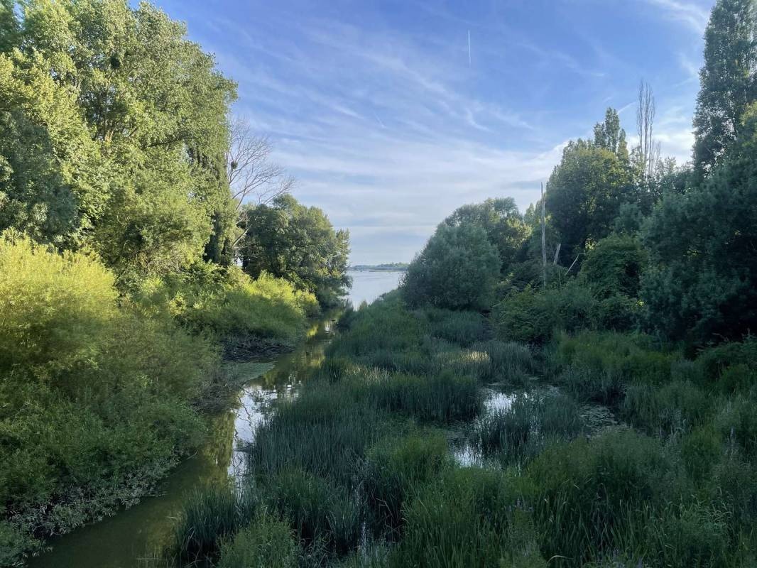 Camping Belle Rivière — Camping Site in Sainte-Luce-sur-Loire