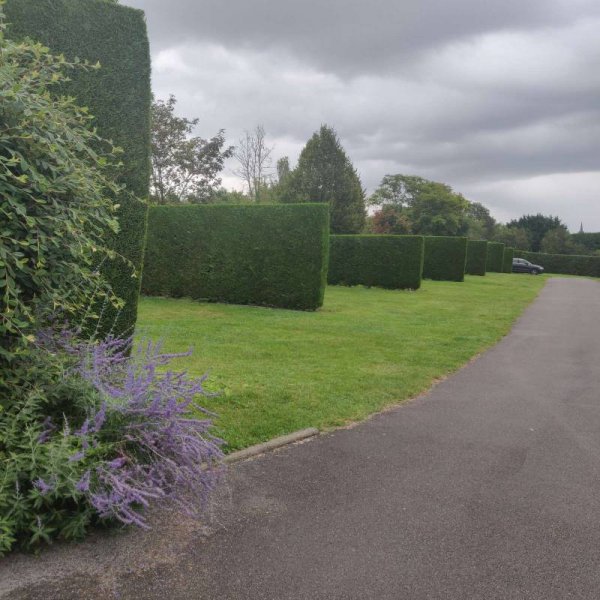 Camping Sainte-Claire — Photo 4