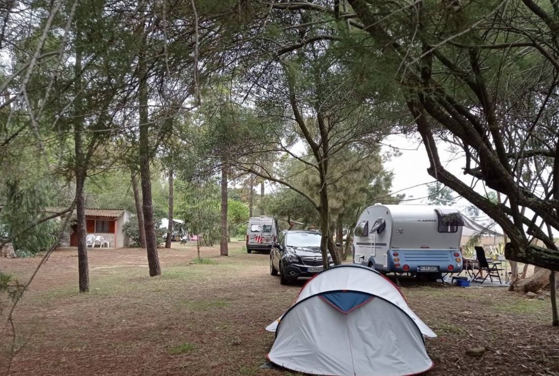 Camping Olmello * — Area da campeggio in Valle-di-Campoloro / Corse