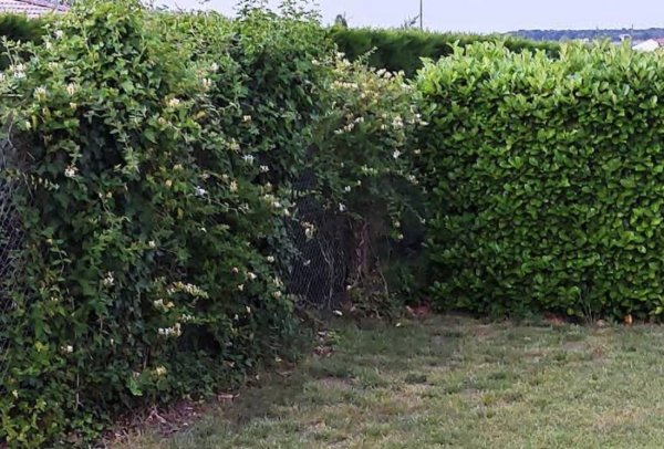 Camping La Ferme **** — Photo 2