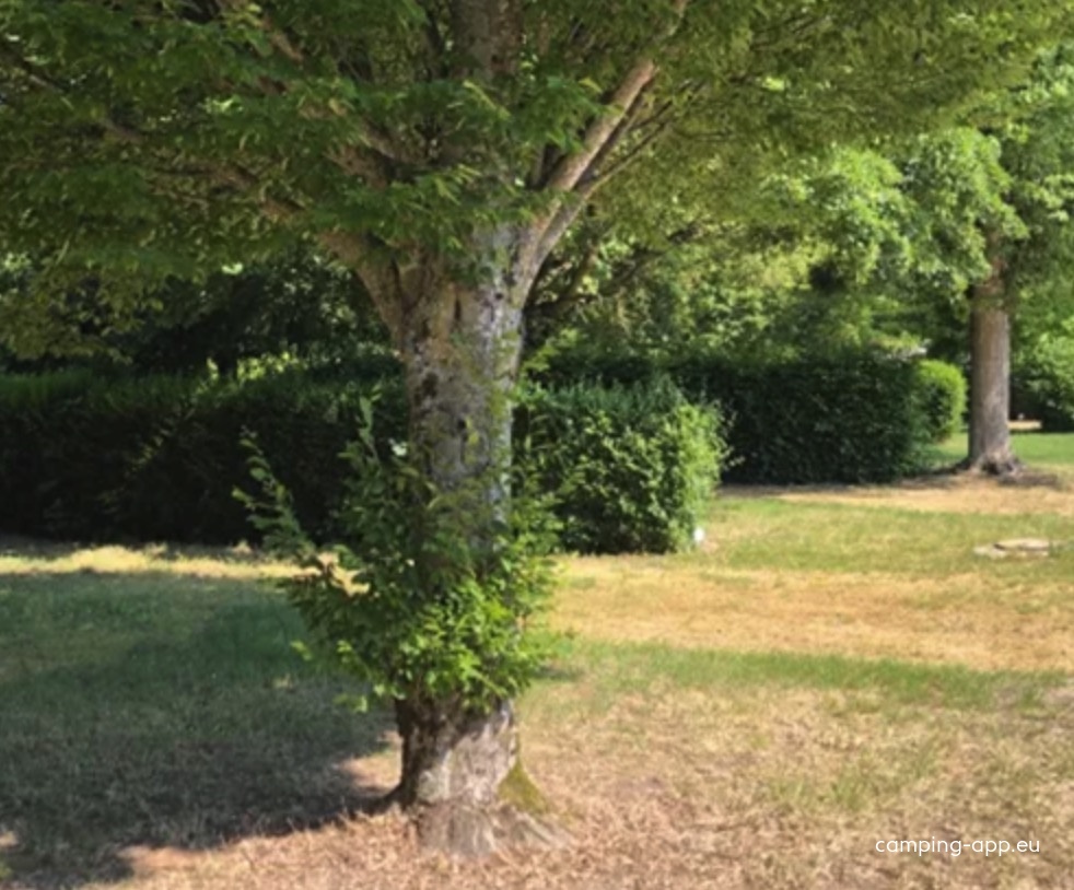 Camping Le Vallage — Campingplatz in Attigny / Grand Est