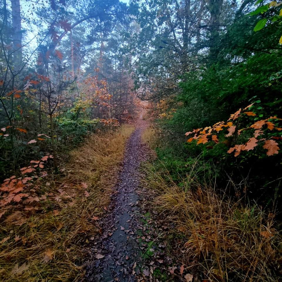 Camperplaats IndeVerte — Stellplatz in Lottum