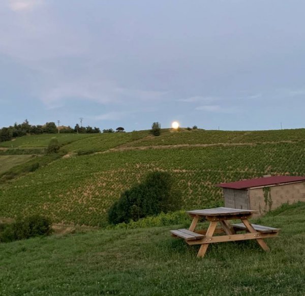 Camping de la Grappe Fleurie Vivacamp — Photo 2