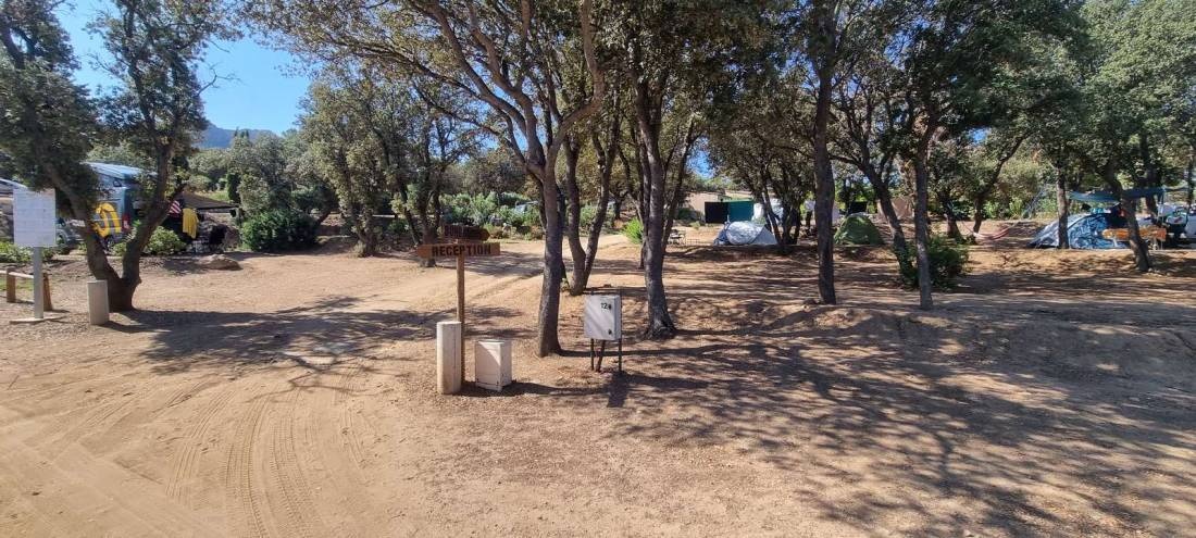 Camping Domaine Le Clos des chênes — Sítio de acampamento in Belgodère / Corse