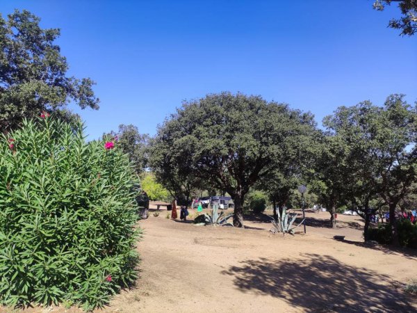 Camping Domaine Le Clos des chênes — Foto 4