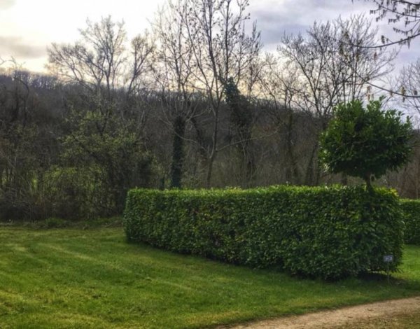 Camping Le Moulin des Donnes *** — Photo 3