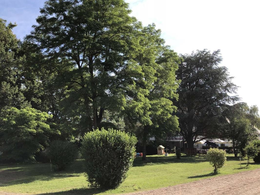 Camping & Brasserie Le Moulin Fort *** — Kamp yeri in Francueil / Nouvelle-Aquitaine