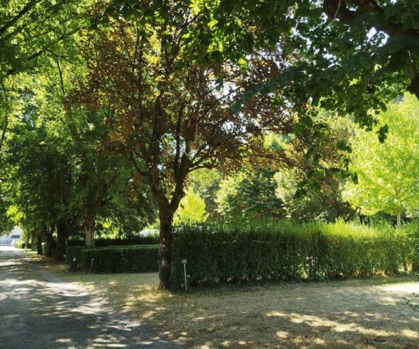 Camping Municipal de Beaufort — Photo 3