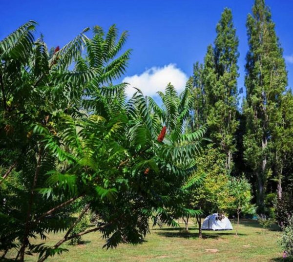 Camping D'auberoche *** — Photo 3