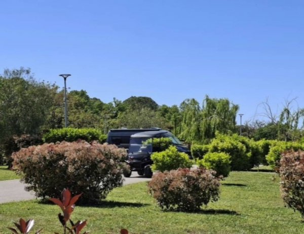 Domaine des Mimosas — Photo 4