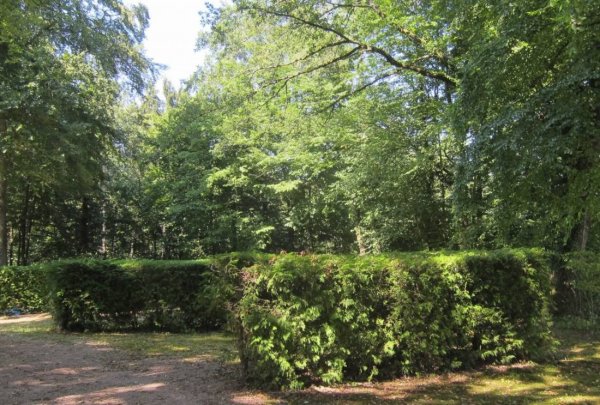 Camping Municipal Senones — Photo 4