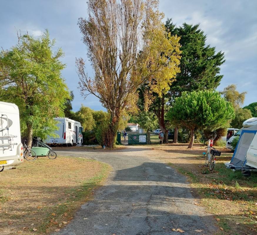 Camping Ile de Ré - Les Portes en Ré — Kamp yeri in Les Portes-en-Ré / Nouvelle-Aquitaine