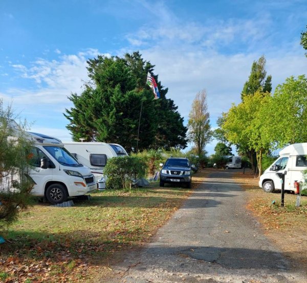 Camping Ile de Ré - Les Portes en Ré — Fotoğraf 2