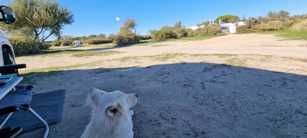 Camping de la Brise *** — Photo 5