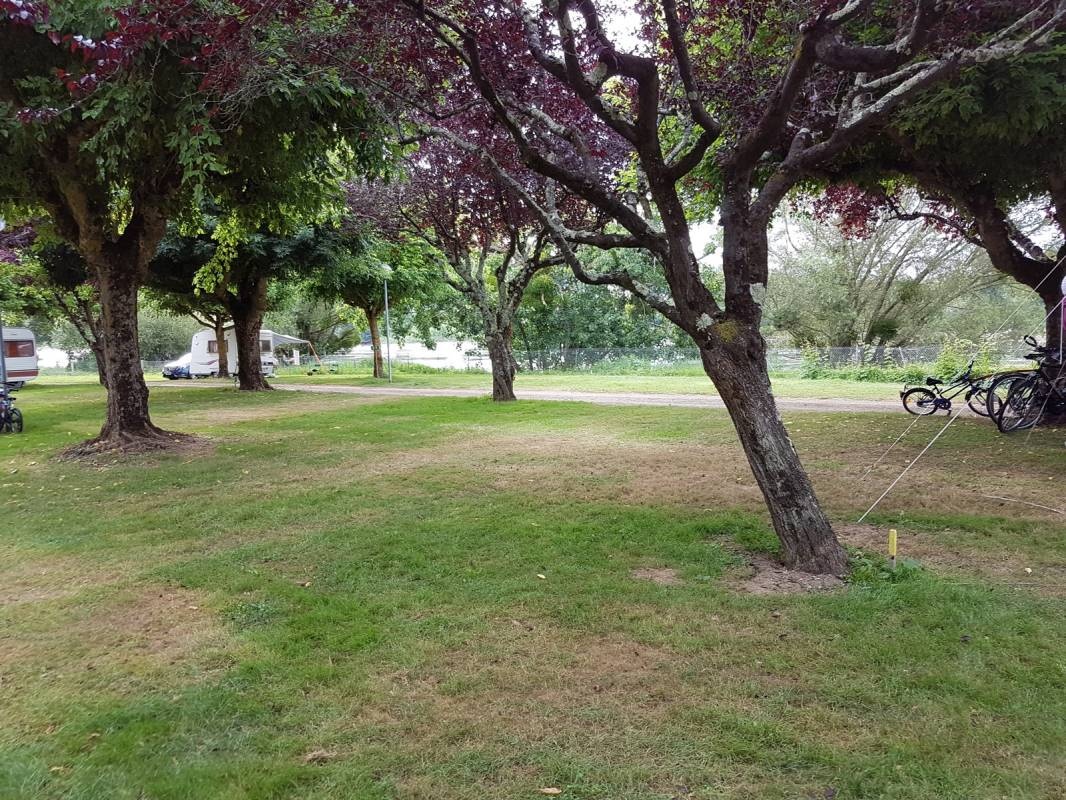 Camping Municipal Bord Dordogne — Campingplats in Sainte-Terre