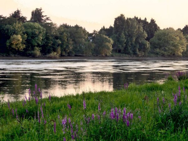 Camping Municipal Bord Dordogne — Photo 2