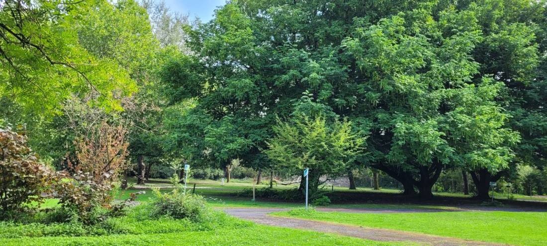 Camping Municipal — Campingplads in Langeais / Grand Est