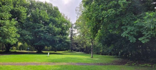 Camping Municipal — Photo 2