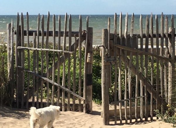 Camping de la Mer — Photo 3