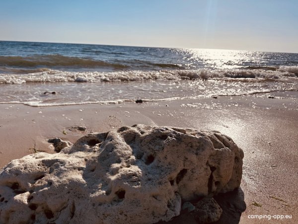 Camping Le Suroit Île d'Oléron — Fotoğraf 2