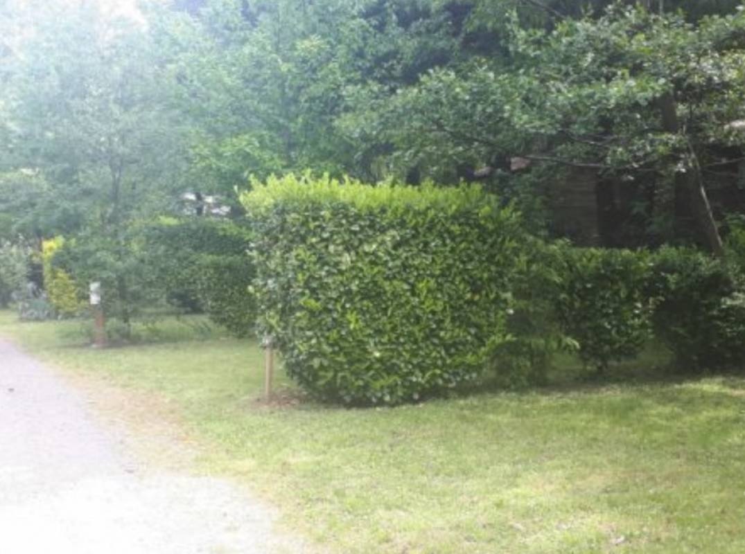 Camping Le Verdier *** — Campingplats in Saumane