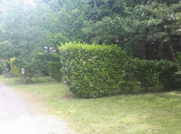 Camping Le Verdier *** — Foto 3