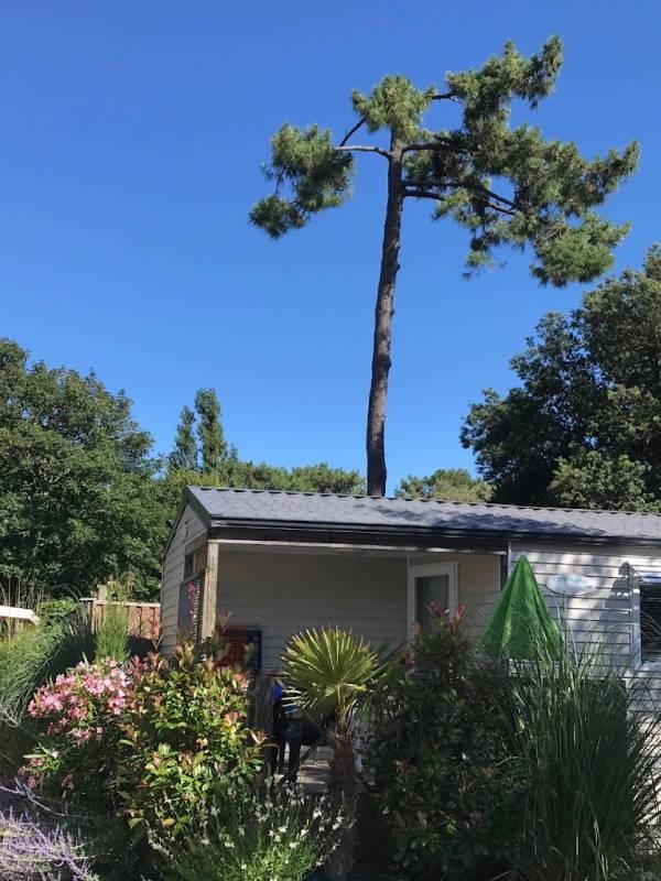 Camping big hill — Camping Site in Saint-Palais-sur-Mer