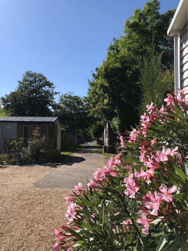 Camping big hill — Photo 2