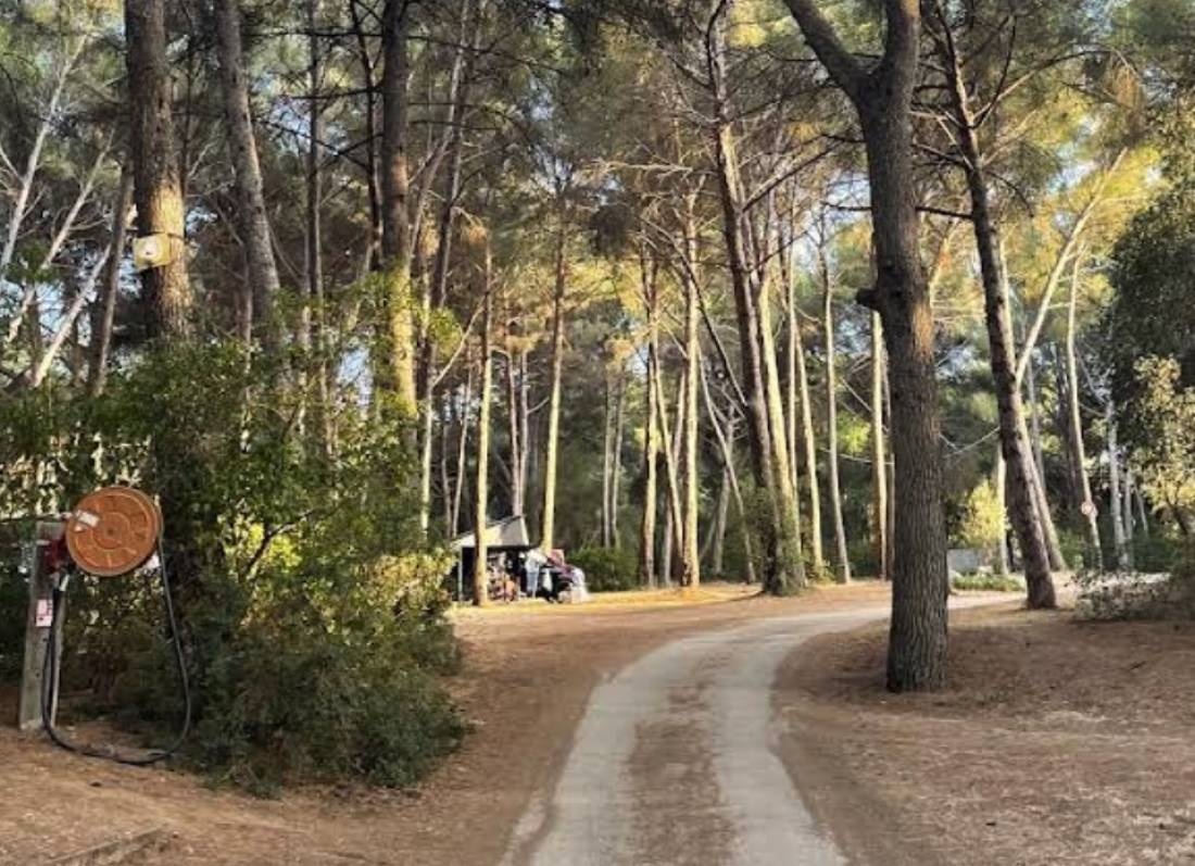 Camping La Pinède — Campingplads in Six-Fours-les-Plages