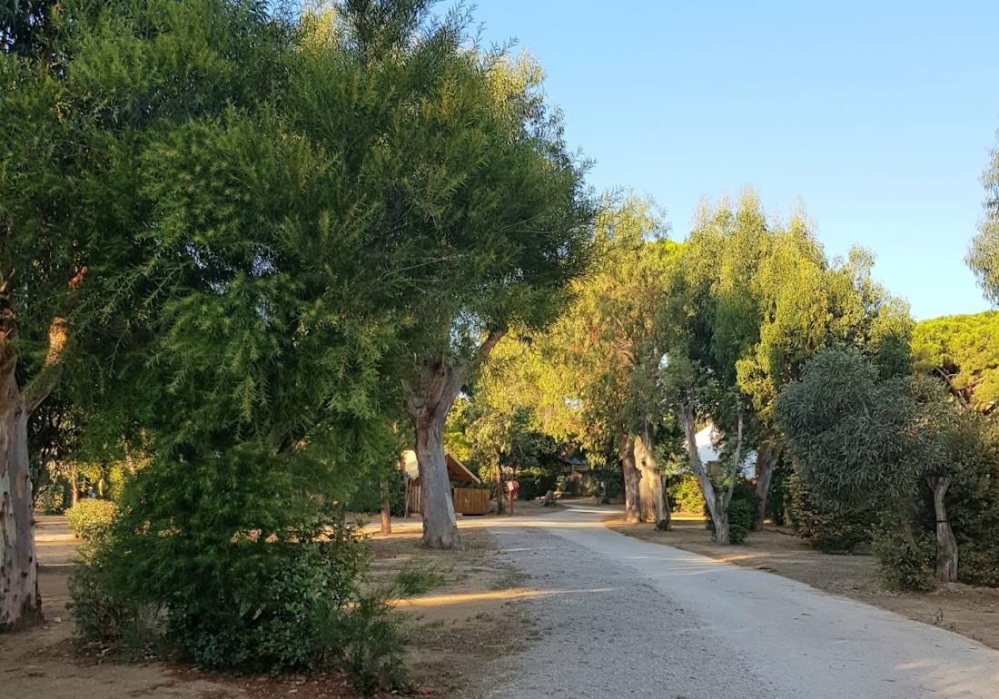 Camping La Pinède — Camping in Cavalaire-sur-Mer / Corse