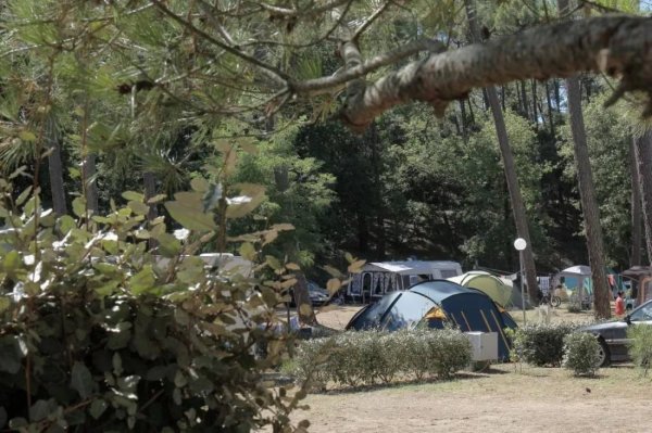 Camping Les Ombrages ** — Photo 4