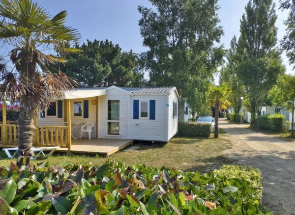 Camping Les Palmiers *** — Photo 2