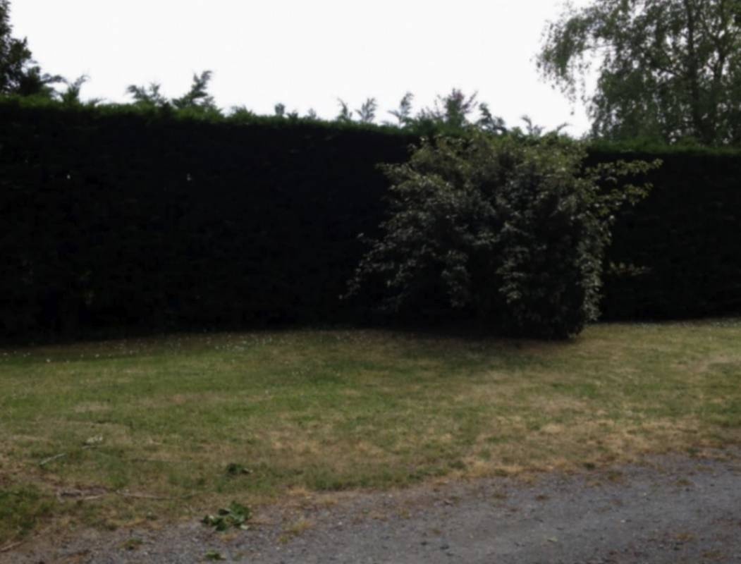 Camping Paradis Les Pins Royan — Camping in Saint-Palais-sur-Mer