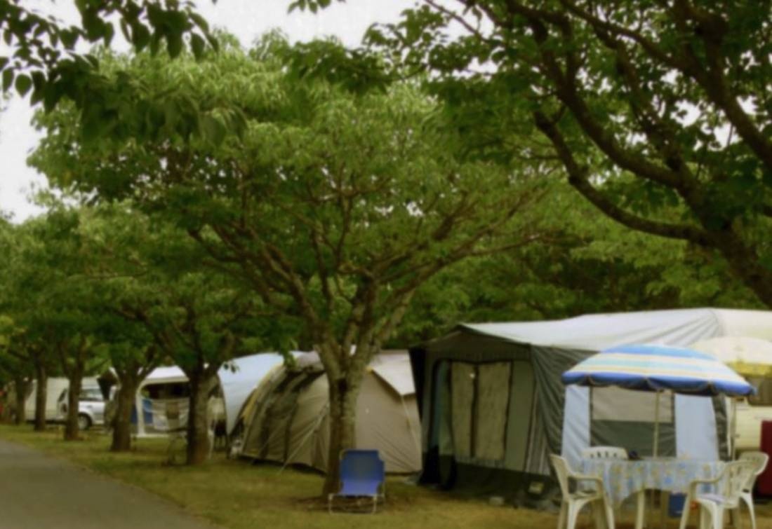 Camping Les Cigales *** — Kemp in Berrias-et-Casteljau