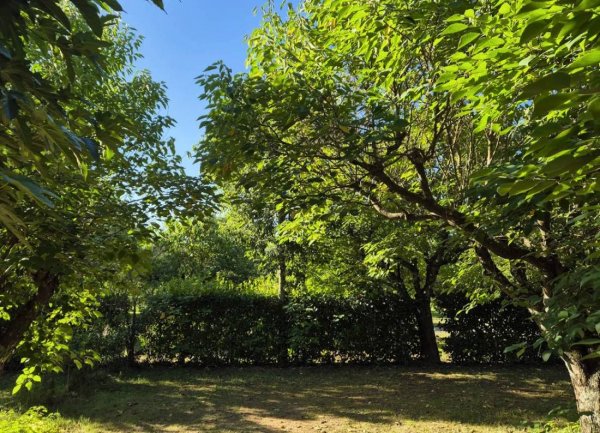 Camping Les Cigales *** — Photo 5