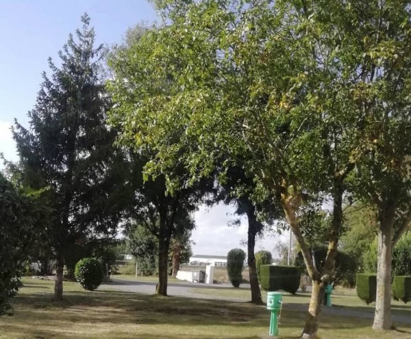 Camping Le Moulin — Photo 2