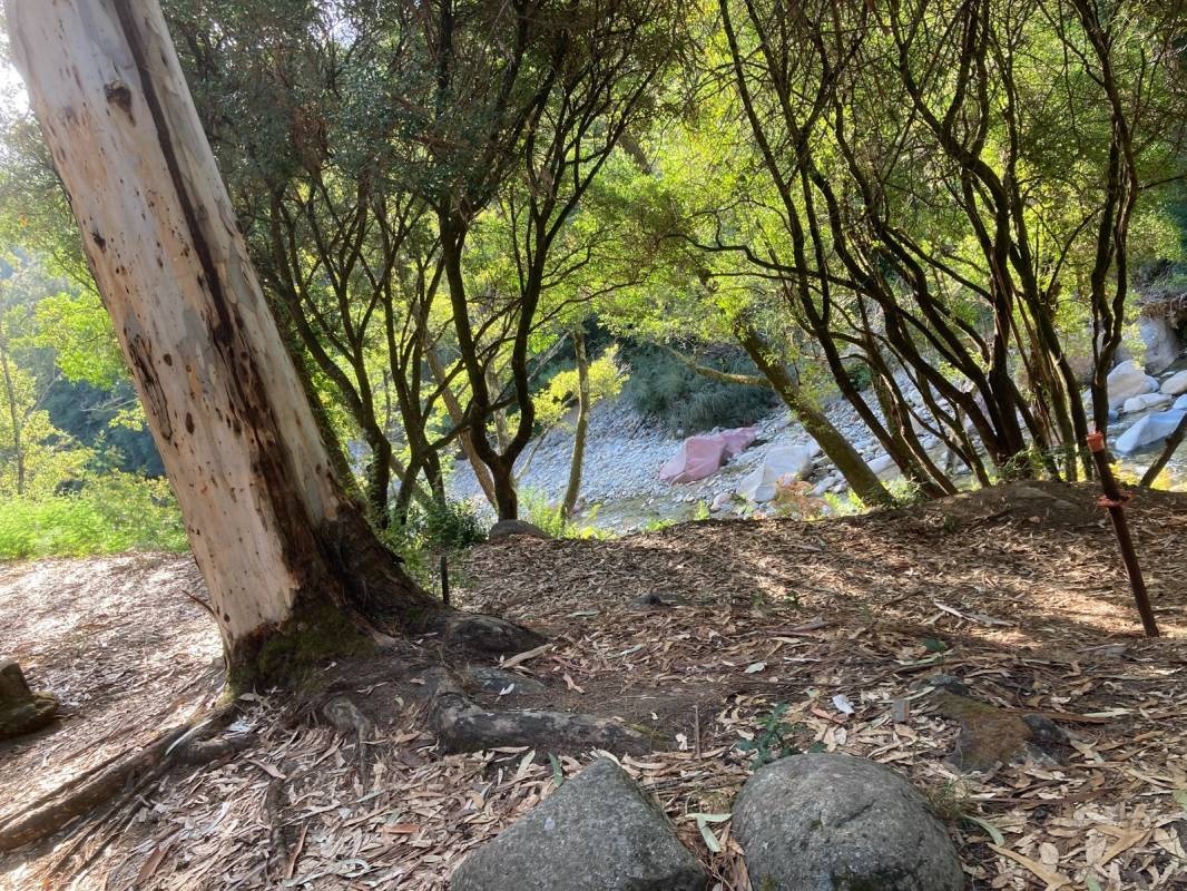 Les Eaux Vives *** — Camping Site in Vero / Corse