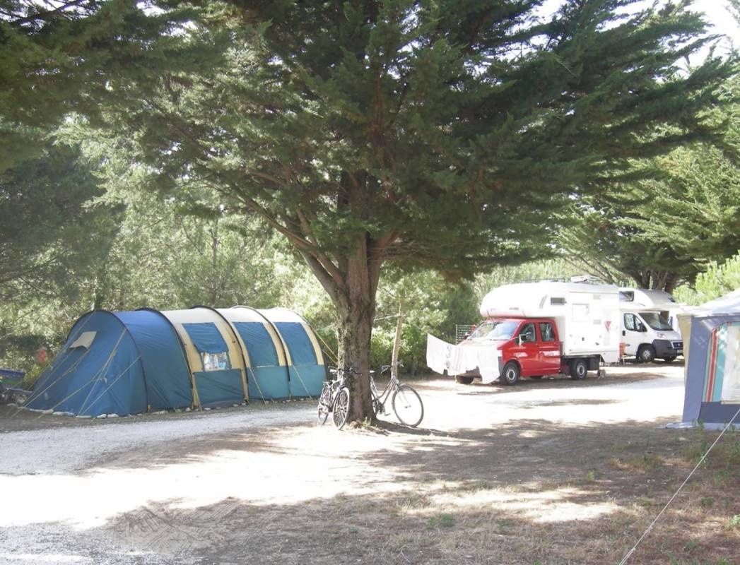 Camping Les Dunes ** — Camping in Le Bois-Plage-en-Ré