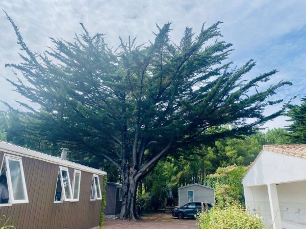 Camping Les Dunes ** — Photo 3