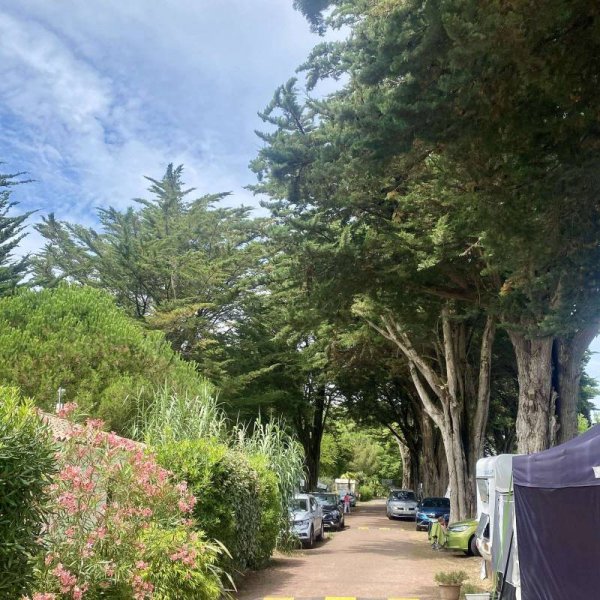 Camping Les Dunes ** — Photo 2