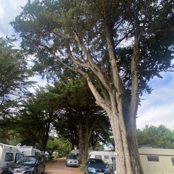 Camping Les Dunes ** — Photo 4